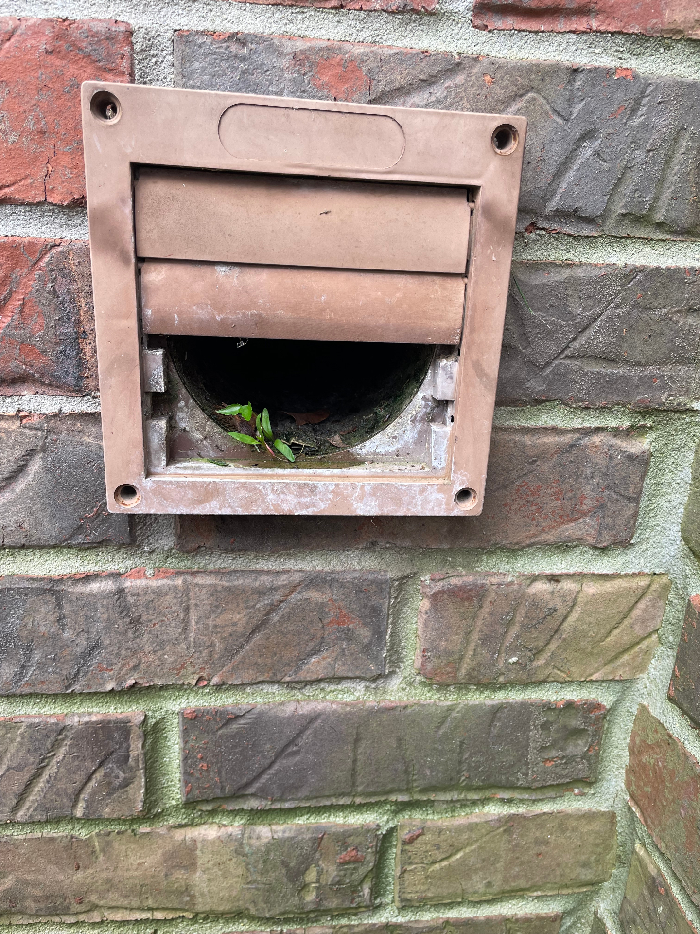 Old louvered dryer vent cover clogged with debris and plant growth