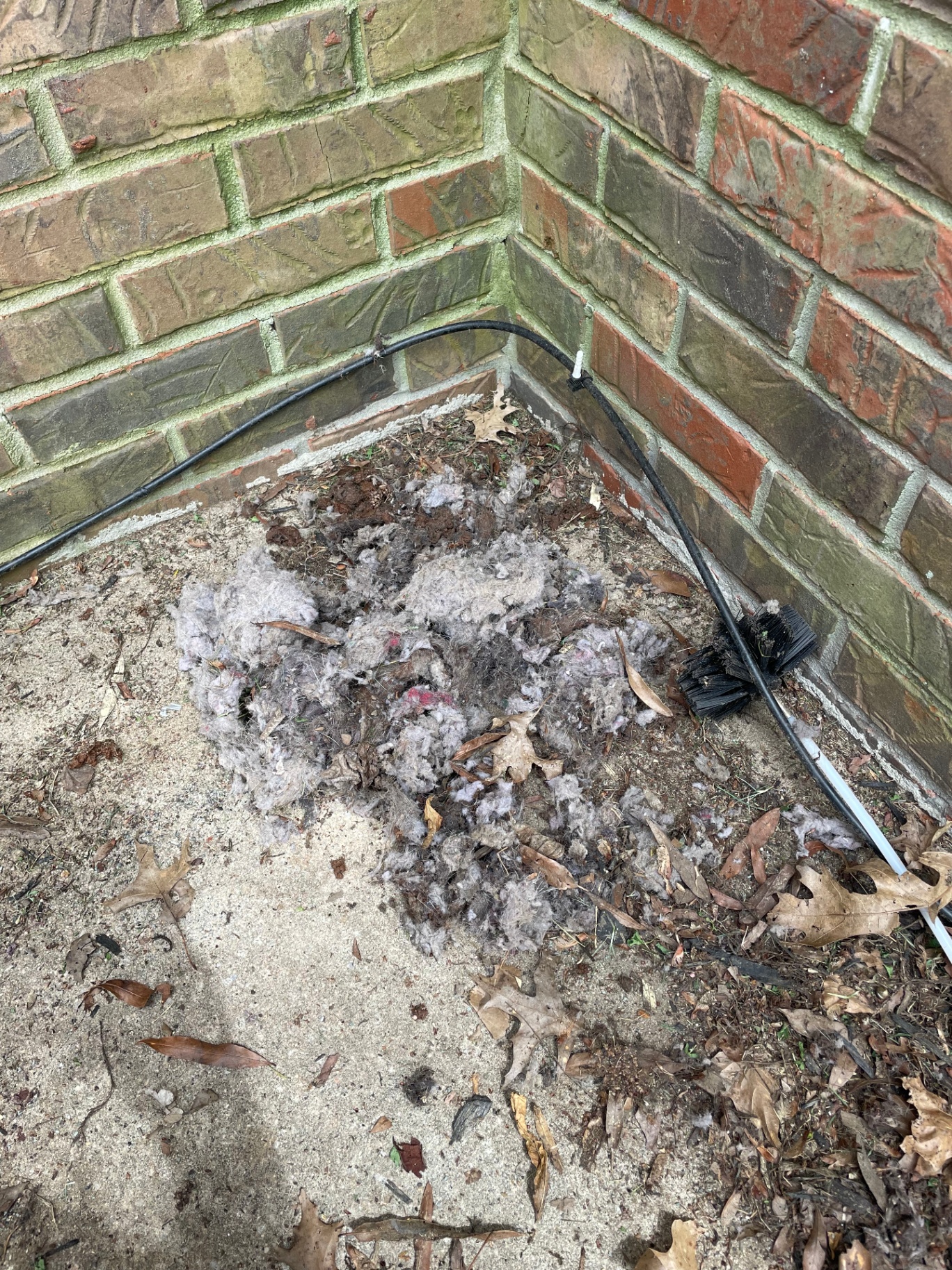 Heavy lint and debris pulled from the dryer vent line